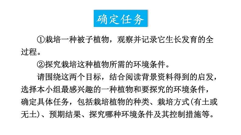 综合实践项目 栽培一种植物，探究所需的环境条件 (课件)-2024-2025学年人教版(2024)生物七年级下册第5页