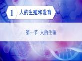 4.1.1 人的生殖 (课件)-2024-2025学年人教版(2024)生物七年级下册