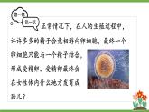 4.1.1 人的生殖 (课件)-2024-2025学年人教版(2024)生物七年级下册