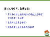 4.1.1 人的生殖 (课件)-2024-2025学年人教版(2024)生物七年级下册