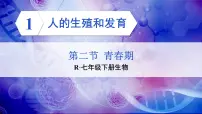 七年级下册（2024）第四单元 人体生理与健康（一）第一章 人的生殖和发育第二节 青春期教案配套课件ppt