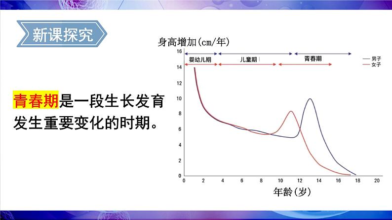 4.1.2 青春期 (课件)-2024-2025学年人教版(2024)生物七年级下册第5页