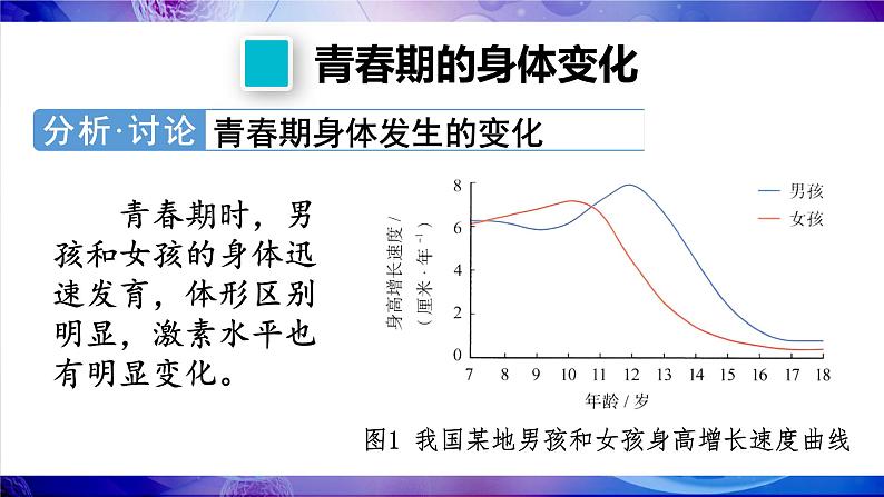 4.1.2 青春期 (课件)-2024-2025学年人教版(2024)生物七年级下册第7页