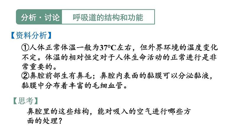 第一节 呼吸道对空气的处理第7页