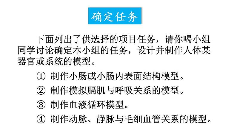 综合实践项目 设计并制作人体结构模型第3页