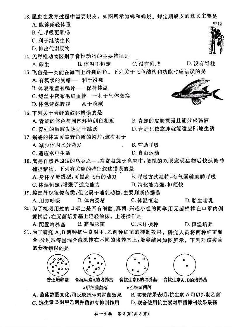 2025北京东城初一（上）期末生物试卷第3页