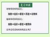 初中  生物  人教版（2024）  七年级上册（2024）  第四节 单细胞生物 课件