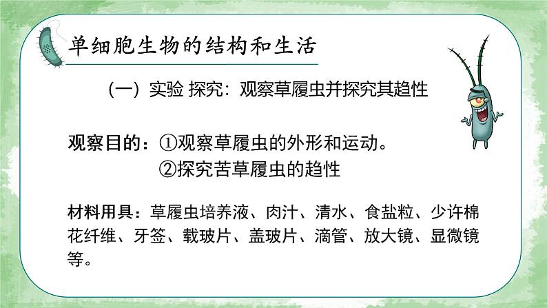 初中  生物  人教版（2024）  七年级上册（2024）  第四节 单细胞生物 课件第5页