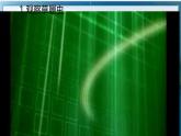 初中  生物  人教版（2024）  七年级上册（2024）  第四节 单细胞生物 课件
