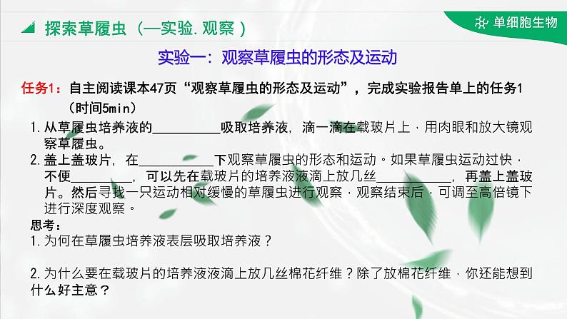 初中  生物  人教版（2024）  七年级上册（2024）  第四节 单细胞生物 课件第7页