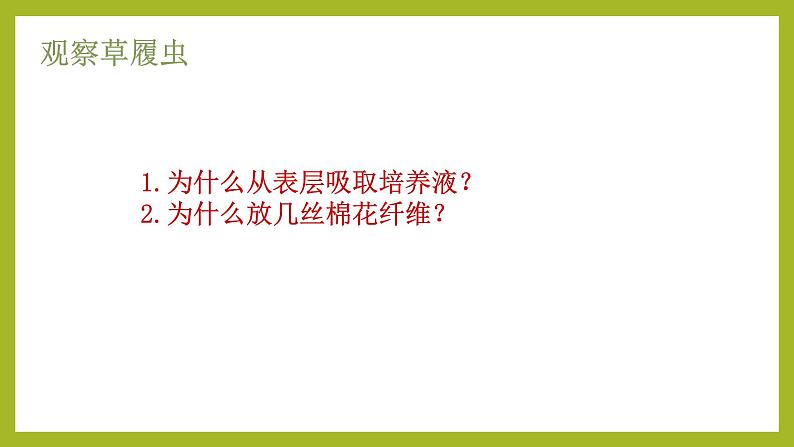 初中  生物  人教版（2024）  七年级上册（2024）  第四节 单细胞生物 课件第5页