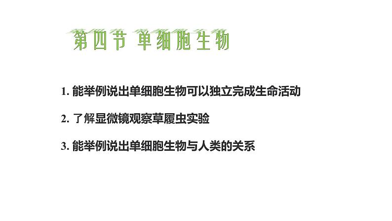 初中  生物  人教版（2024）  七年级上册（2024）  第四节 单细胞生物 课件第1页
