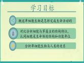 初中  生物  人教版（2024）  七年级上册（2024）  第四节 单细胞生物 课件