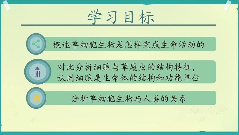 初中  生物  人教版（2024）  七年级上册（2024）  第四节 单细胞生物 课件第2页