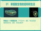 初中  生物  人教版（2024）  七年级上册（2024）  第四节 单细胞生物 课件