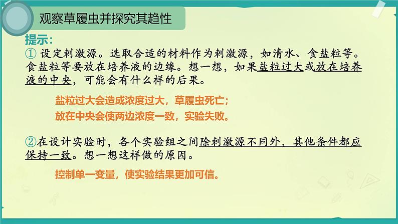 初中  生物  人教版（2024）  七年级上册（2024）  第四节 单细胞生物 课件第8页