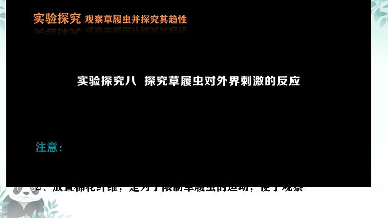 初中  生物  人教版（2024）  七年级上册（2024）  第四节 单细胞生物 课件第5页