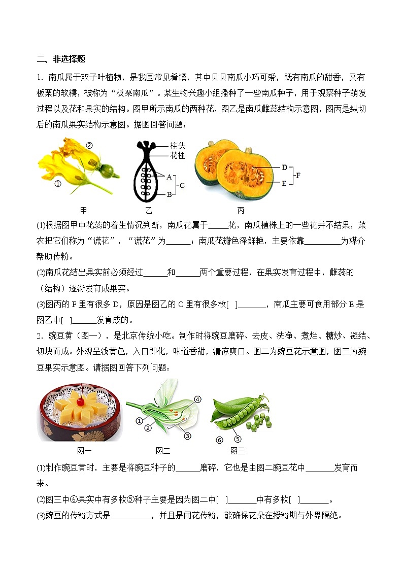 3.1.3 开花和结果（练习）第2页