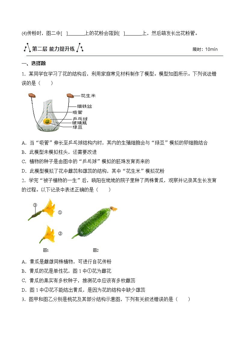 3.1.3 开花和结果（练习）第3页