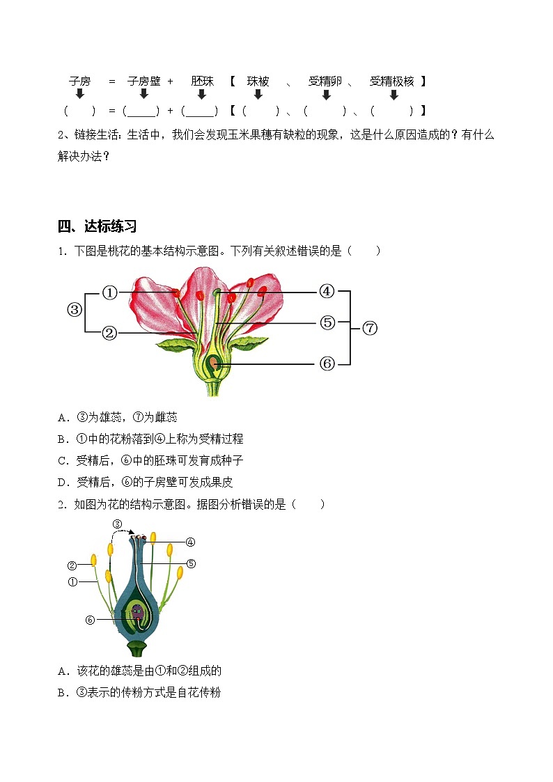 3.1.3 开花和结果（导学案）第3页