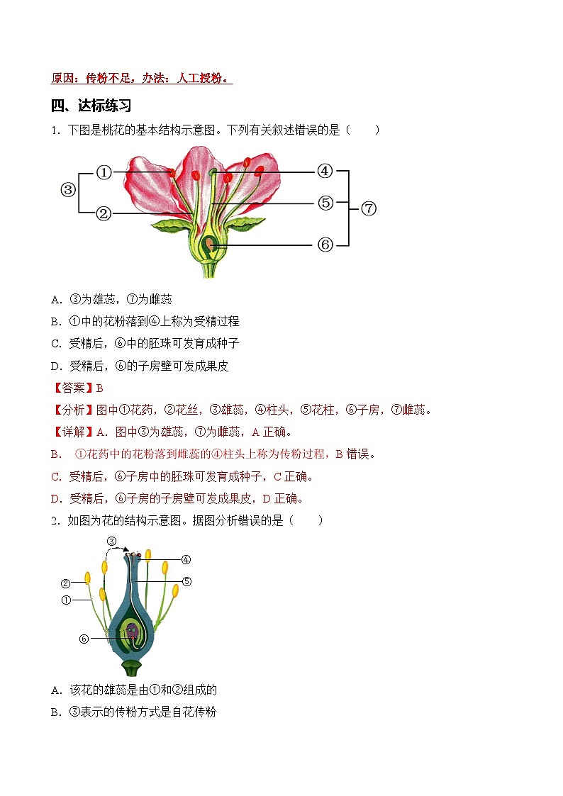 3.1.3 开花和结果（导学案）（含答案解析）第3页