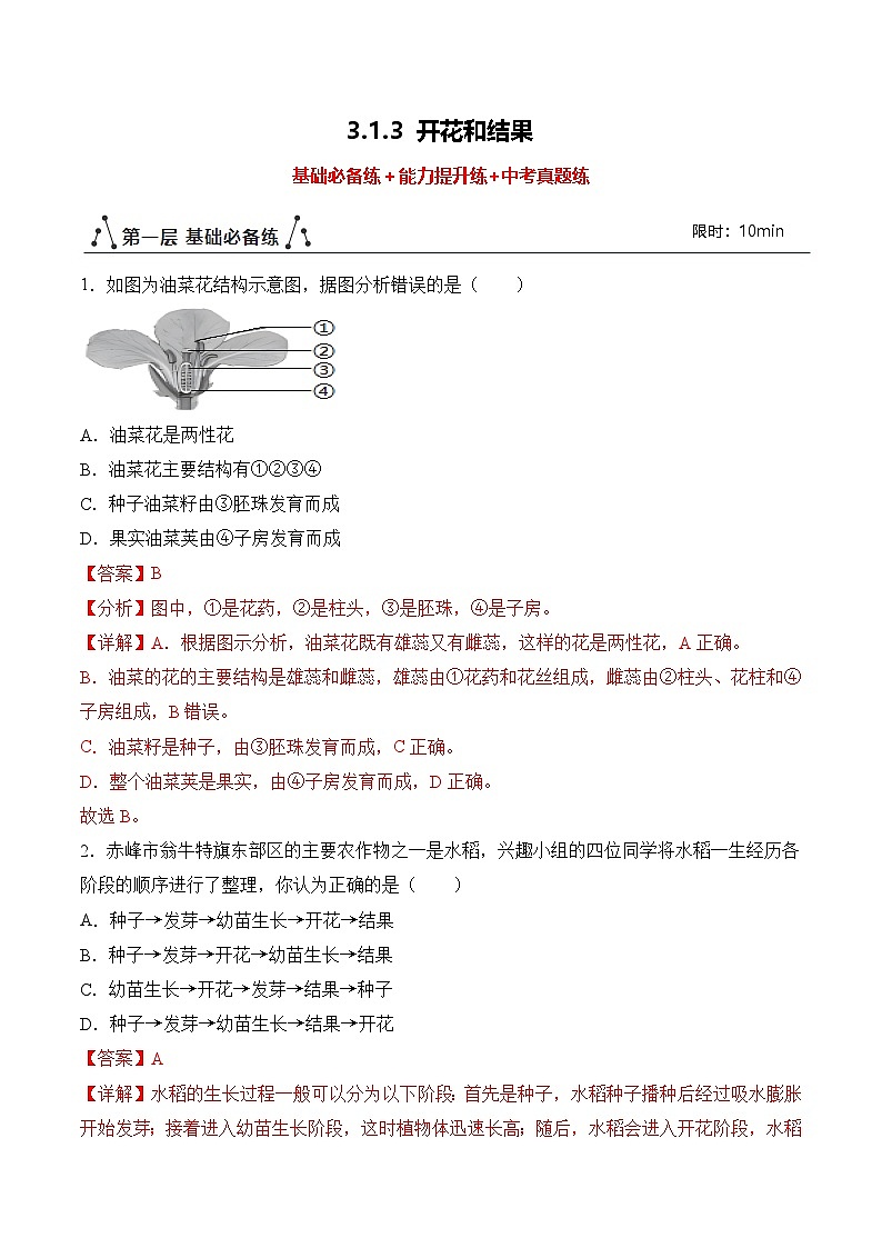 3.1.3 开花和结果（练习）（含答案解析）第1页