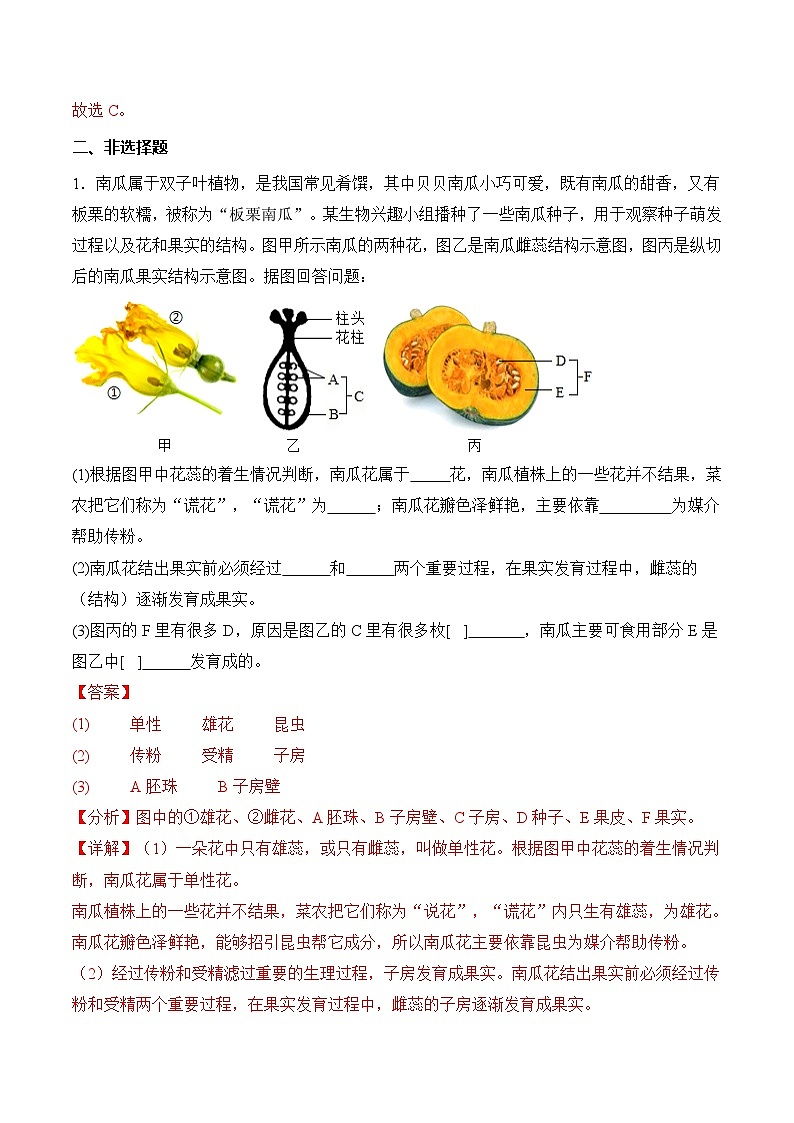 3.1.3 开花和结果（练习）（含答案解析）第3页