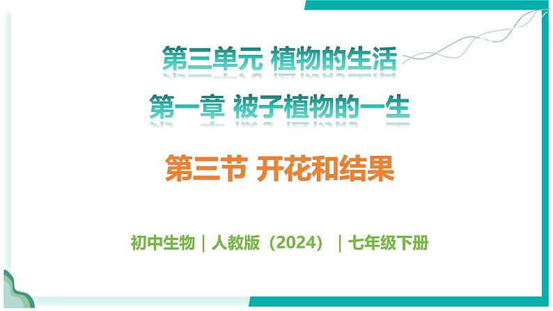 3.1.3 开花和结果-初中生物七年级下册同步教学课件（人教版2024）第1页