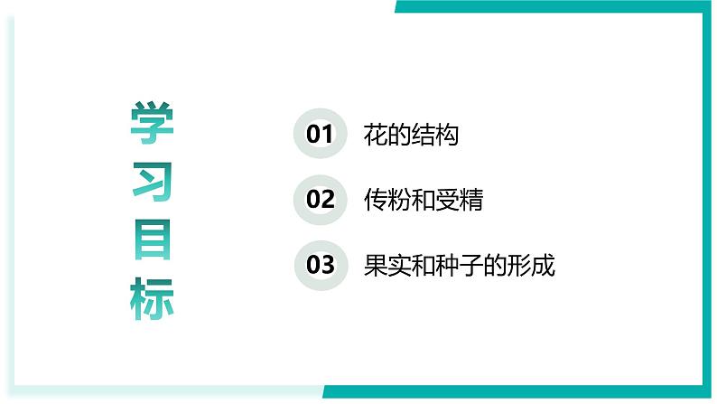 3.1.3 开花和结果-初中生物七年级下册同步教学课件（人教版2024）第2页