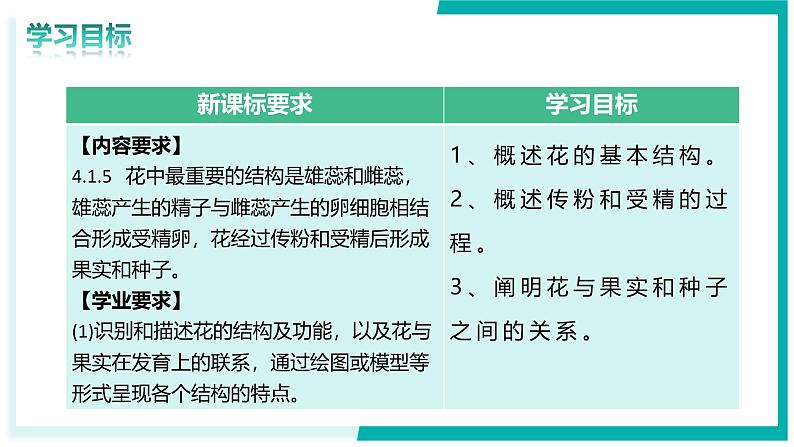 3.1.3 开花和结果-初中生物七年级下册同步教学课件（人教版2024）第3页