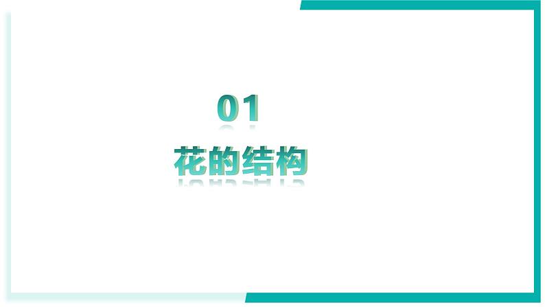 3.1.3 开花和结果-初中生物七年级下册同步教学课件（人教版2024）第6页