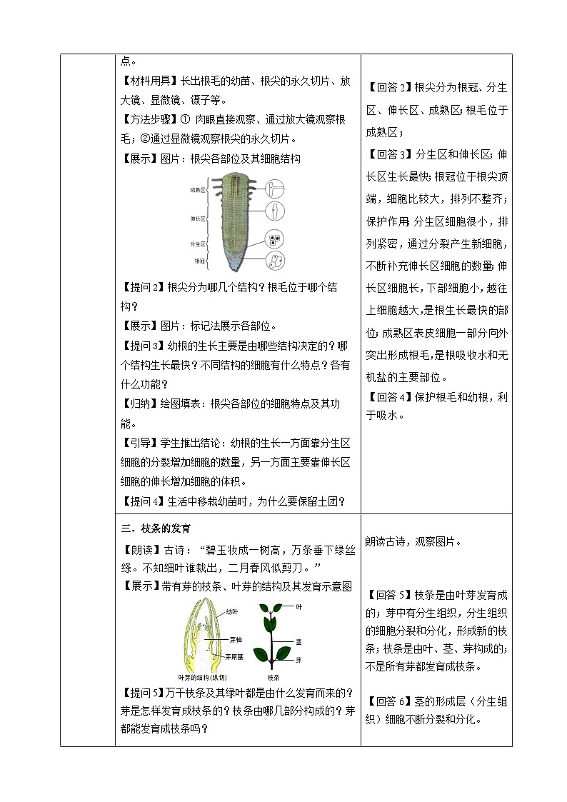 3.1.2 植株的生长(教学设计)-2024-2025学年人教版(2024)生物七年级下册第2页