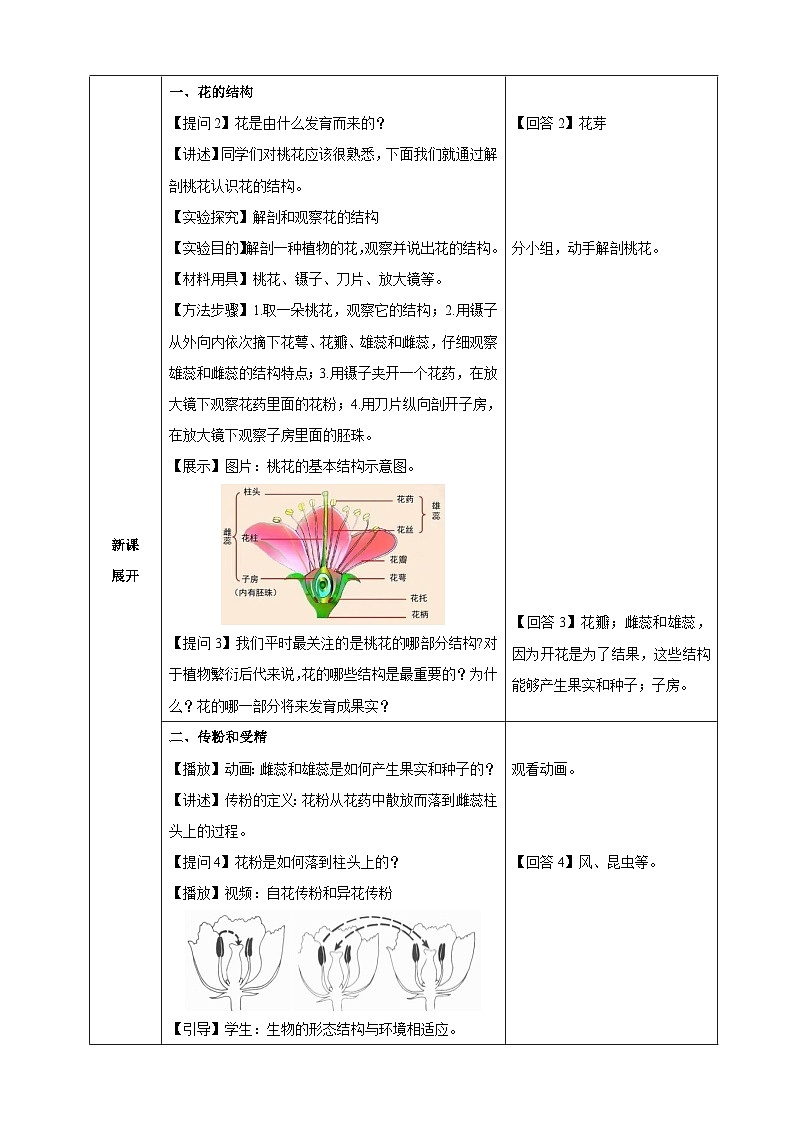 3.1.3 开花和结果(教学设计)-2024-2025学年人教版(2024)生物七年级下册第2页
