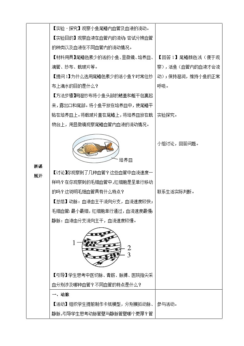 4.4.2 血流的管道——血管(教学设计)-2024-2025学年人教版(2024)生物七年级下册第2页
