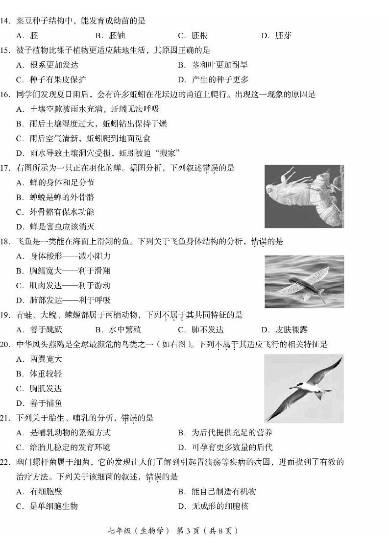 2025北京海淀初一（上）期末生物试卷第3页