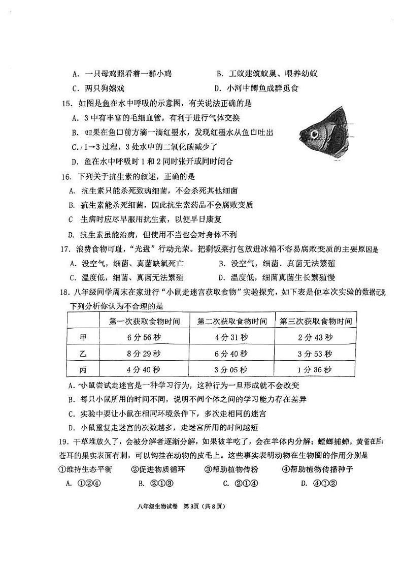 天津市国际学校2024-2025学年八年级上学期期末生物试题第3页