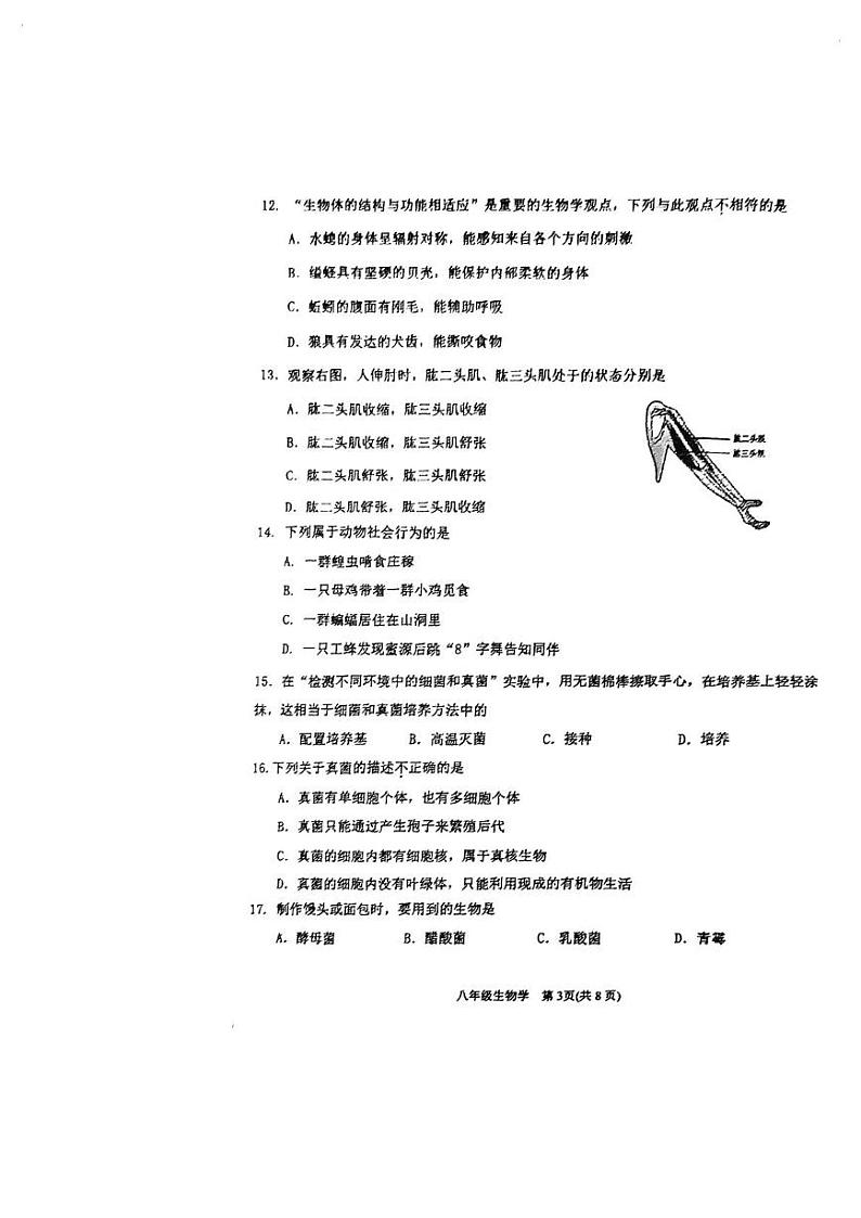 天津市滨海新区2024-2025学年八年级上学期期末生物试题第3页