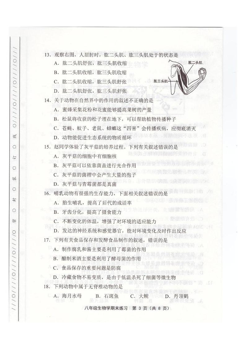 天津市武清区2024-2025学年八年级上学期1月期末生物试题第3页