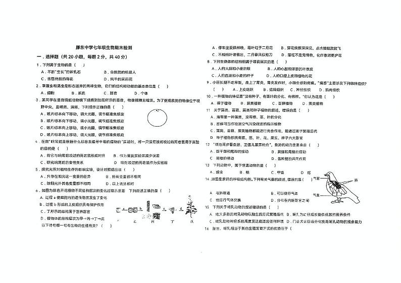 山东省枣庄市滕州市滕东中学2024-2025学年七年级上学期期末检测生物试卷第1页