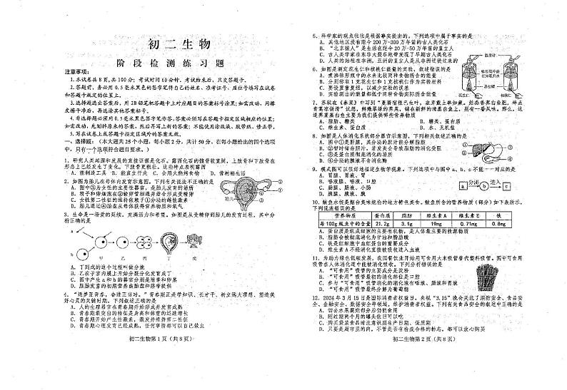 山东省烟台市莱山区2024-2025学年七年级上学期期末考试生物试卷第1页
