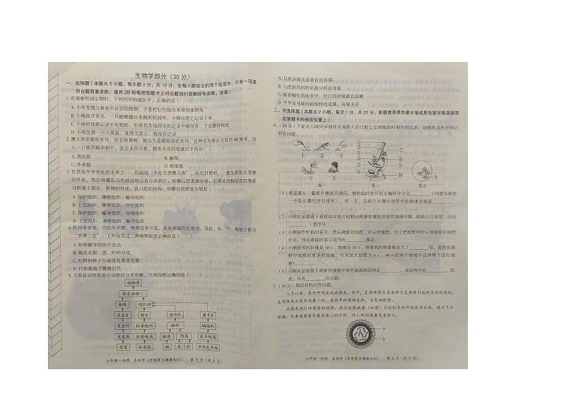 内蒙古赤峰市翁牛特旗2024-2025学年七年级上学期1月期末生物试题第1页