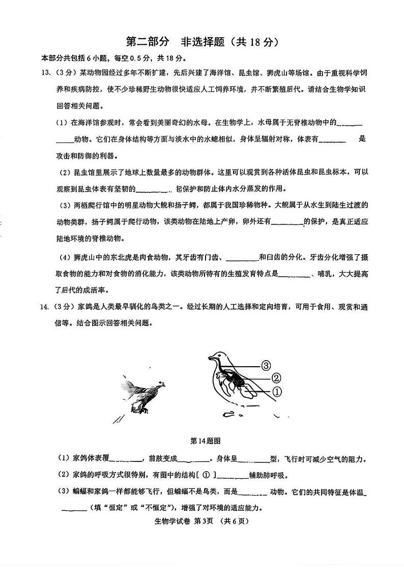 辽宁省营口市大石桥市2024-2025学年八年级上学期期末质量监测生物试题第3页