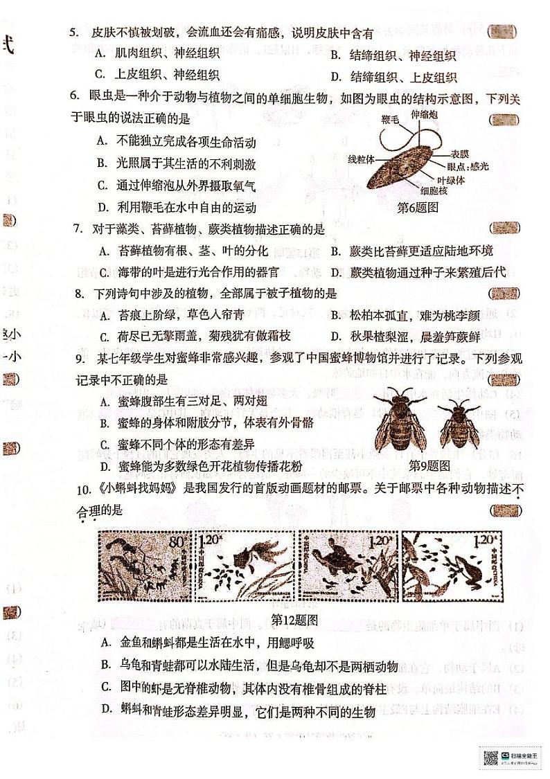 辽宁省沈阳市于洪区2024-2025学年七年级上学期期末考试生物试卷第2页