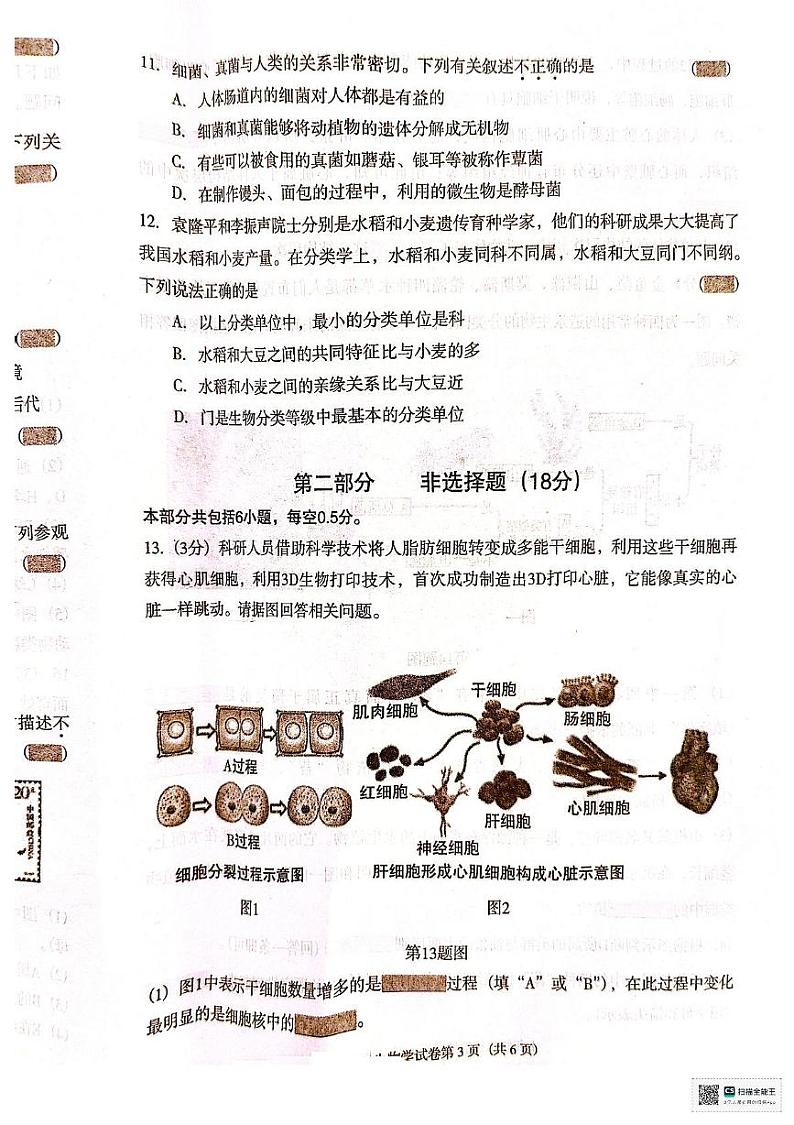 辽宁省沈阳市于洪区2024-2025学年七年级上学期期末考试生物试卷第3页