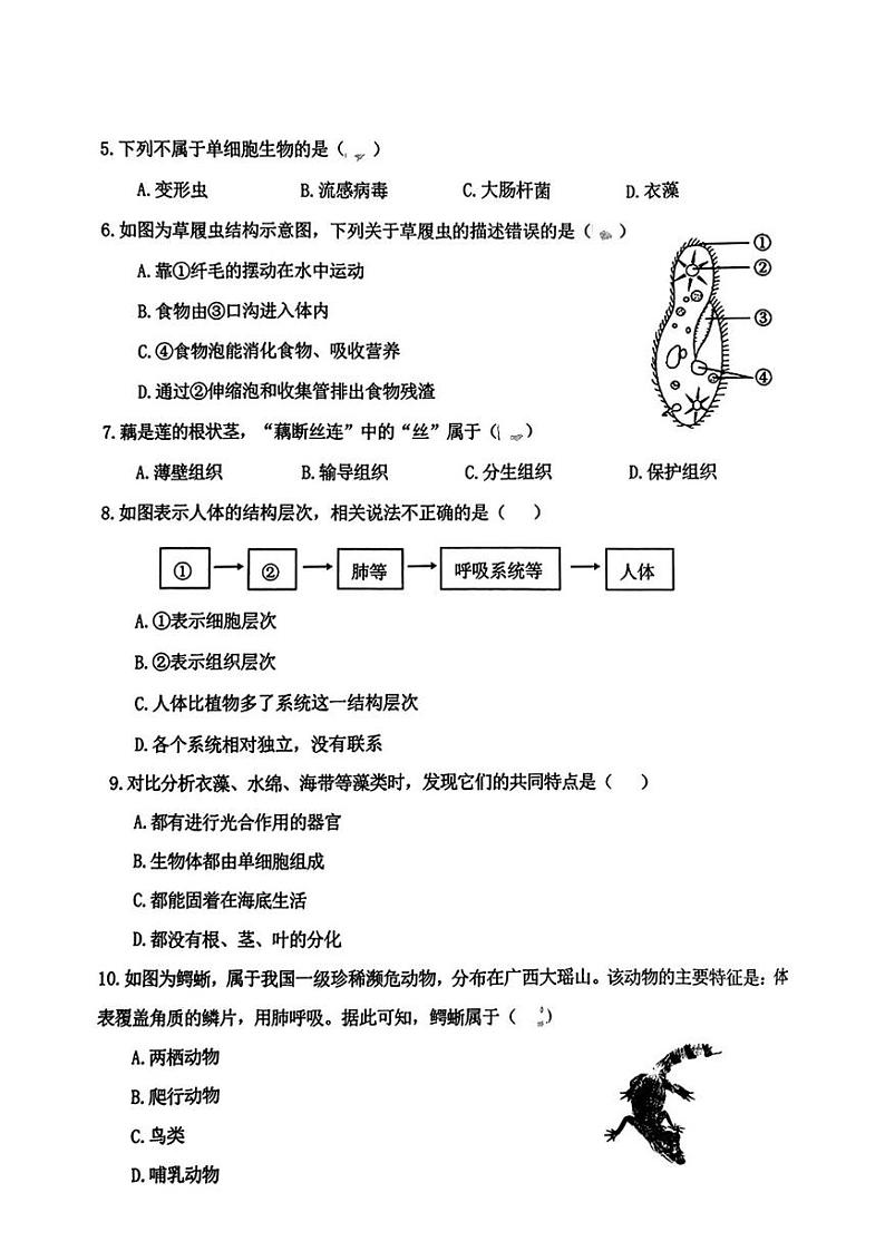 辽宁省沈阳市皇姑区2024-2025学年七年级上学期期末考试生物试题第2页