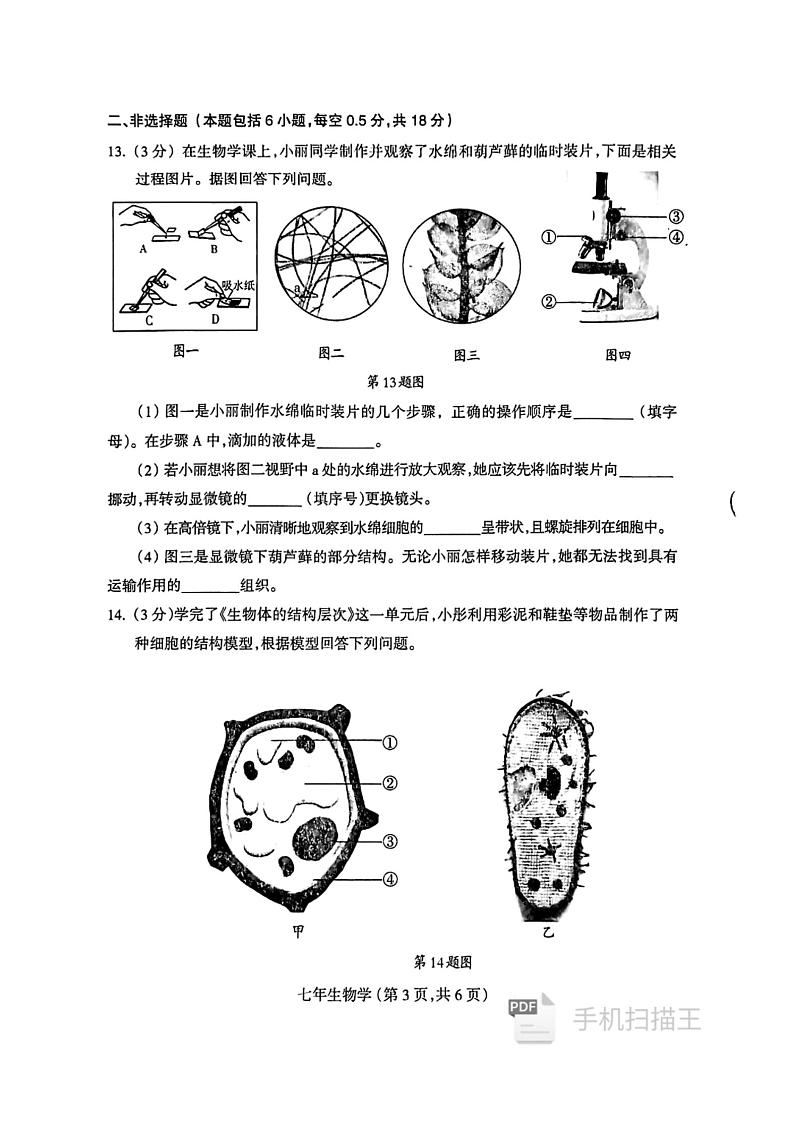 辽宁省沈阳市和平区2024-2025学年七年级上学期期末考试生物试卷第3页