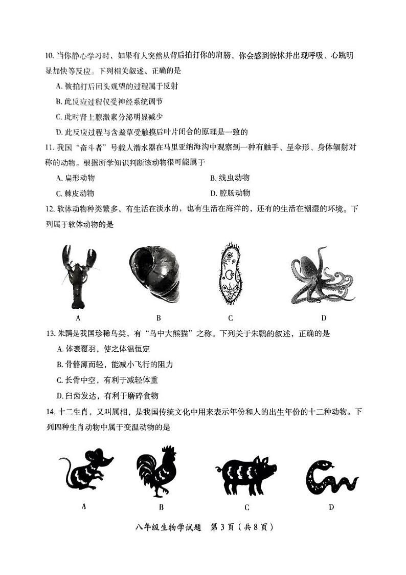 湖南省郴州市2024-2025学年八年级上学期期末考试生物试题第3页