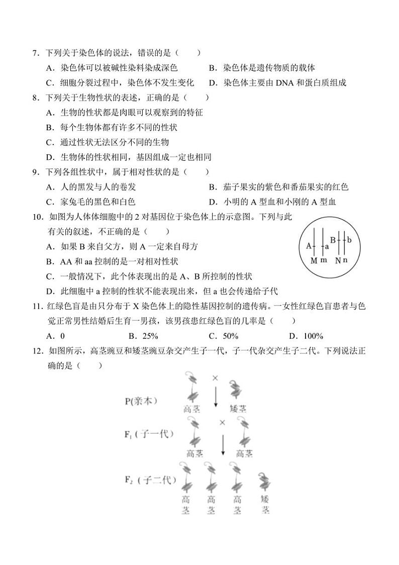 2024～2025学年山东省济宁市金乡县八年级上12月月考生物试卷(含答案)第2页