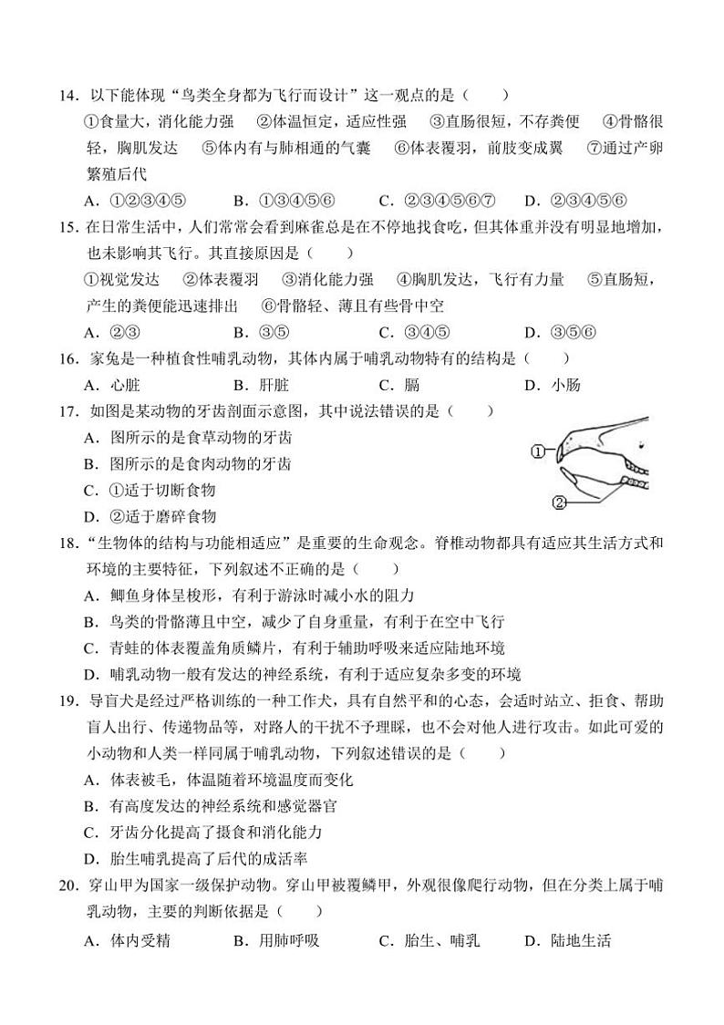 2024～2025学年山东省济宁市金乡县七年级上12月月考生物试卷(含答案)第3页