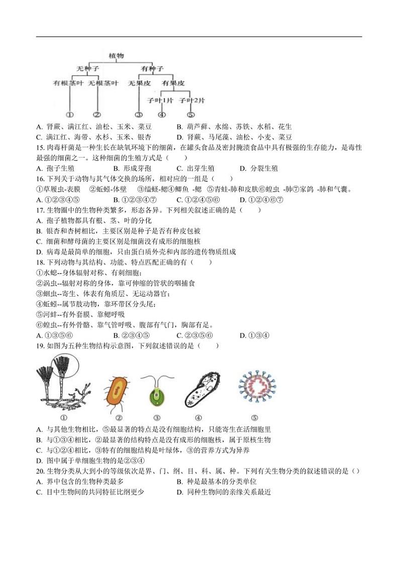 2024～2025学年湖北省黄石市大冶市还地桥镇教联体七年级上期末模拟考试生物试卷(含答案)第3页